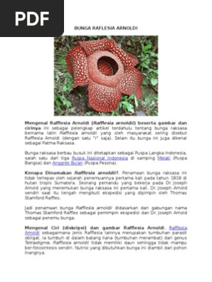 Bunga Raflesia Arnoldi