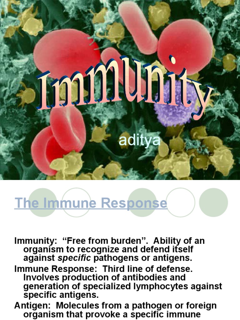 Understanding the Immune Response | PDF | Major Histocompatibility ...