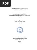 Download IDENTIFIKASI BAKTERI Listeria monocytogenespdf by AriefRajib SN288312311 doc pdf