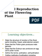 3 6 1 Sexual Reproduction - Plants