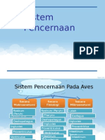 Sistem Pencernaan Aves