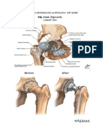 Anatomi Arthrologi