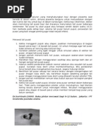 Download Perawatan Tali Pusat Presentasi by Masniah SN288345104 doc pdf