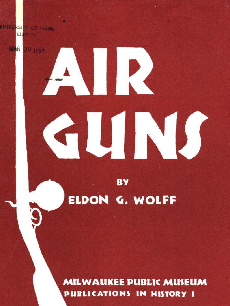Air Guns PDF Projectiles Firearms