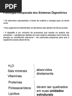 Sistema Digestório