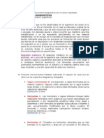 Horizontes Diagnósticos Del Suelo