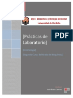 Normas Prácticas Enzimología PDF