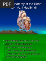 The Anatomy of the Heart