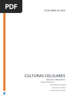 Relatório Cultura de Células