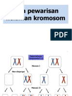 Pola Pewarisan Kelainan Kromosom