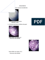 Lab Biologia Resultados