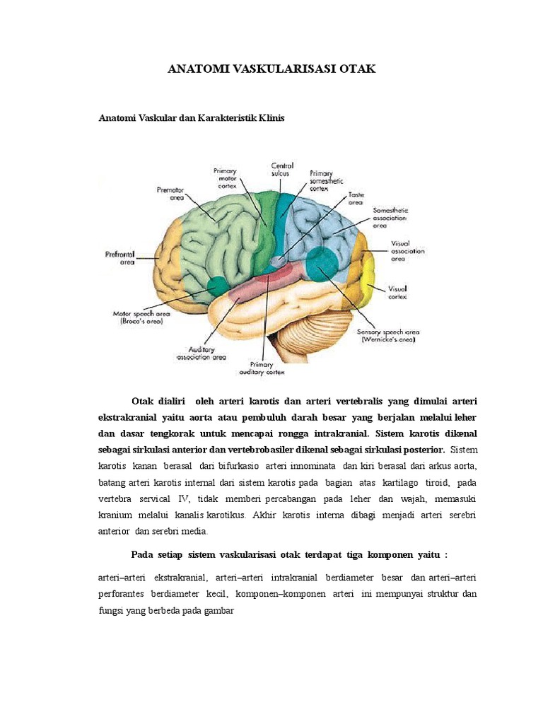 Hemiparesis
