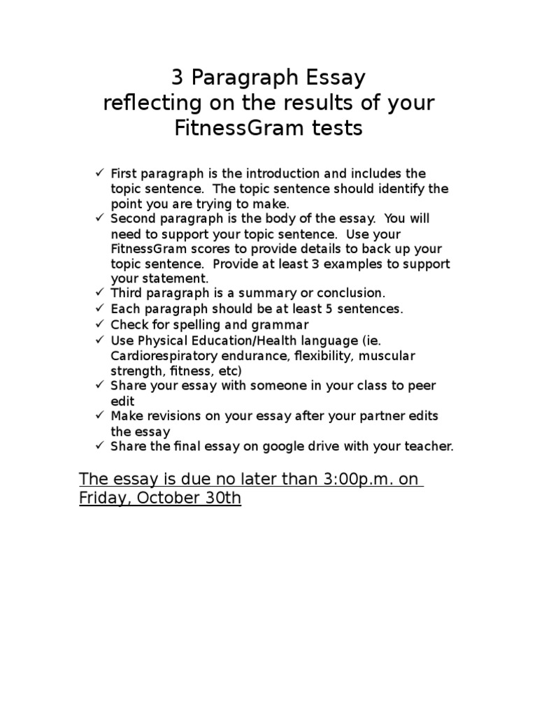 3 Paragraph Essay | PDF