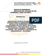 TDR - PERFIL TECNICO SEGURIDAD CIUDADANA 2.doc