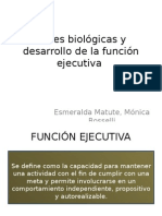 Bases Biológicas y Desarrollo de La Función Ejecutiva