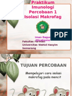 Praktikum Imun