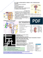 Pama 2 Xa 7 p4 PDF