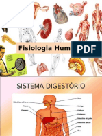 Fisiologia Humana Sistema Digestório