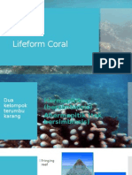 Lifeform Coral