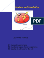 Research Nutrition