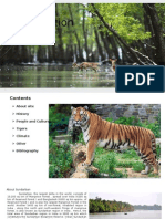 Site Location: Sundarbans, West Bengal, India