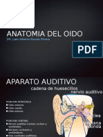 Anatomia Oido