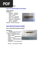 Download KELAS PISCES by adewasti SN28843834 doc pdf