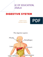 Csi College of Education, Parassala: Digestive System