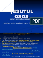 Tesutul Osos