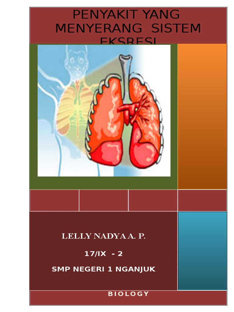 PENYAKIT YANG MENYERANG SISTEM EKSKRESI 