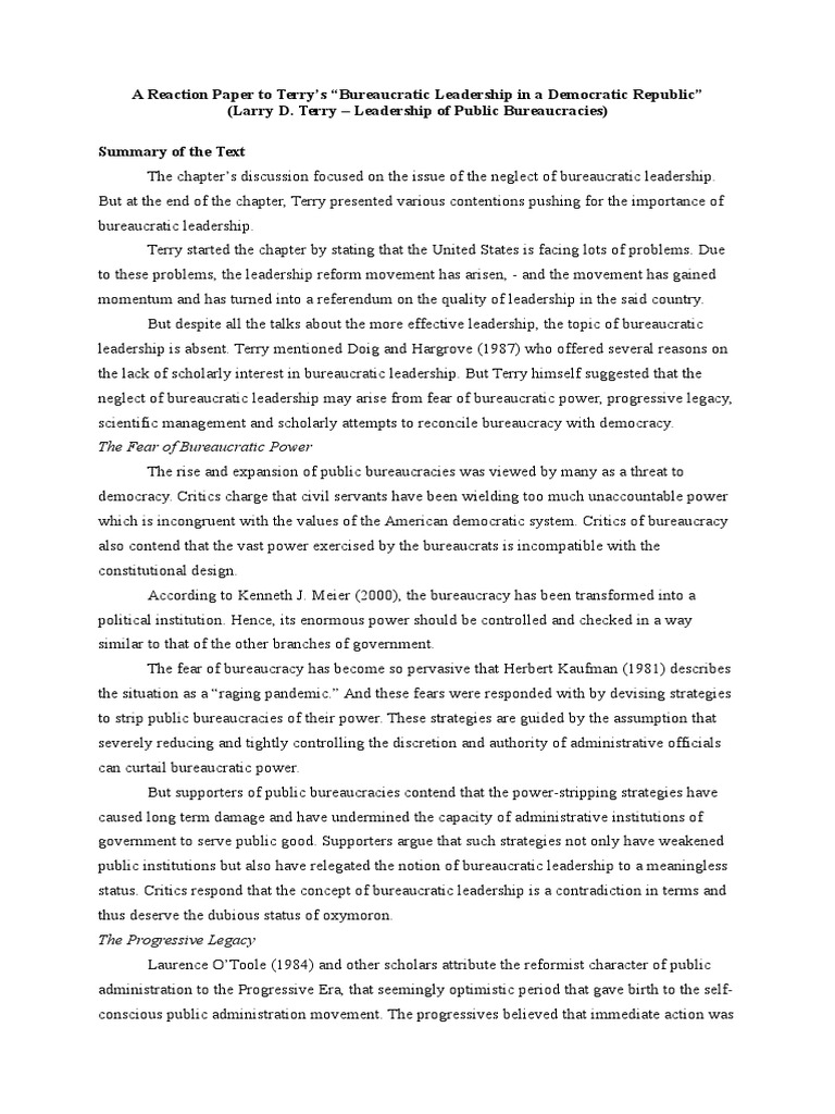 Advantages and disadvantages of bureaucracy essay picture