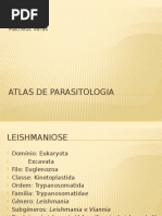 Atlas Parasitologia