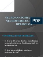 Neuroanatomia y Neurofisiologia Del Dolor