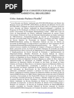 Meio ambiente - Fiorillo 2015.pdf