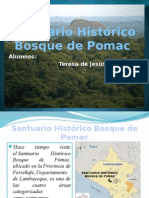 Santuario Histórico Bosque de Pomac