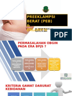 PEB Dan Eklamsi