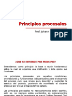 Principios Procesales