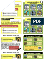 Guía de Trabajo_Salida Cáhuil_Imprimir3 (1)