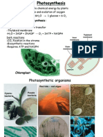 15 Photosynthesis 2014-15