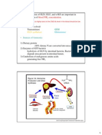 12_Amino Acid Metabolism (2014m)