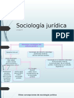 Sociologia Juridica Unidad 3