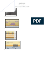 Taller membranas 2015.pdf