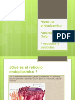 Retículo Endoplasmico, Aparato de Golgi, Vacuolas y Vesículas