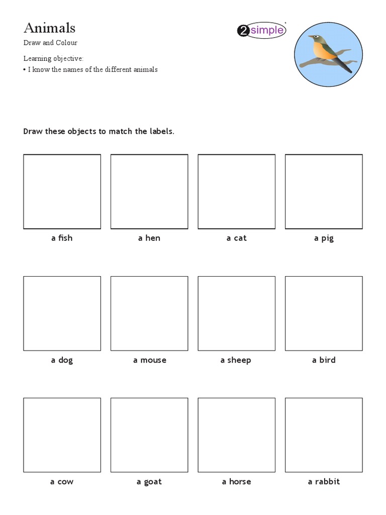 Animals: Draw These Objects To Match The Labels | PDF