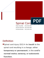 Spinal Cord Injury