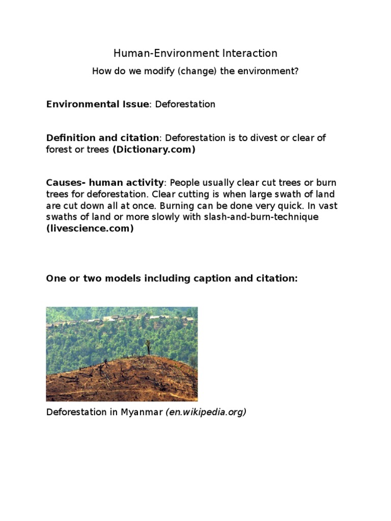 Concept Map Hei, PDF, Deforestation