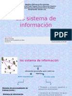 Los Sistema de Informacion