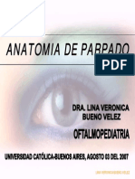 anatomia-del-parpado.pdf