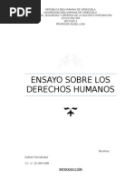 Ensayo Derechos Humanos Esther f