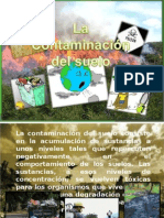 Contaminacion Del Suelo